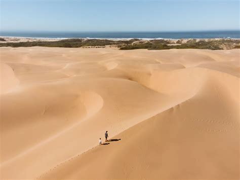 Pismo dunes - In 1923 filmmaker Cecil B. DeMille built an insanely huge faux Egypt set for his epic silent film The Ten Commandments on the Guadalupe-Nipomo Dunes near Pismo Beach in California. The location was well-used by early Hollywood for desert scenes — Rudolph Valentino’s The Sheik had been filmed there two years before — but …